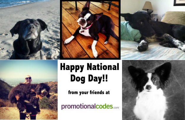 Happy National Dog Day! Deals from PetSmart & Puppy Pictures